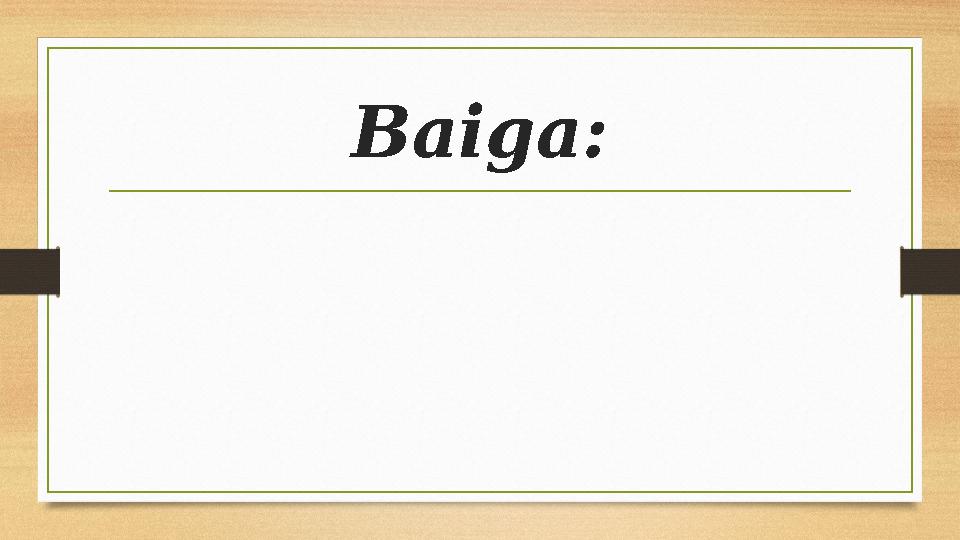 Baiga: Baiga: