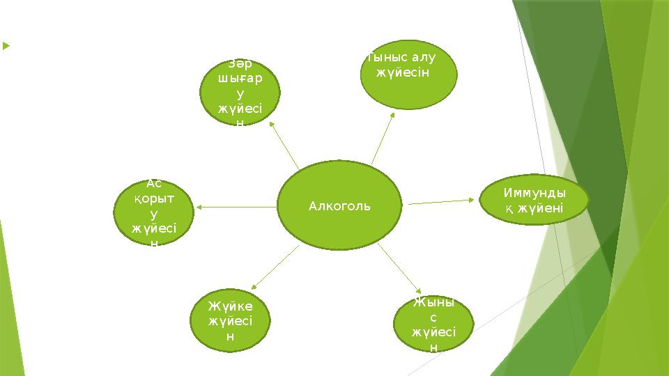  Алкоголь Зәр шығар у жүйесі н Ас қорыт у жүйесі н Иммунды қ жүйені Жүйке жүйесі н Жыны с жүйесі н
