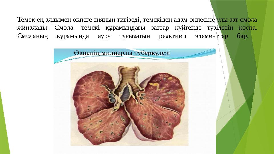 Темек ең алдымен өкпеге зиянын тигізеді, темекіден адам өкпесіне улы зат смола жиналады. Смола- темекі құрамынд