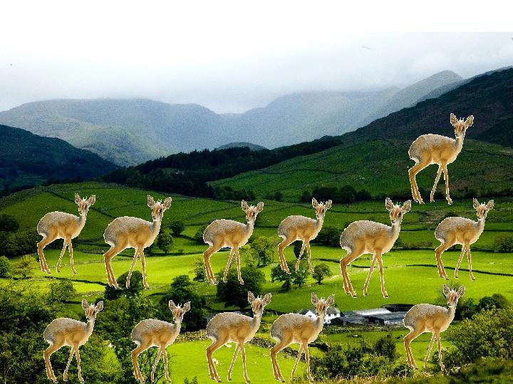 2 2 1 1 21 1 22 1 21