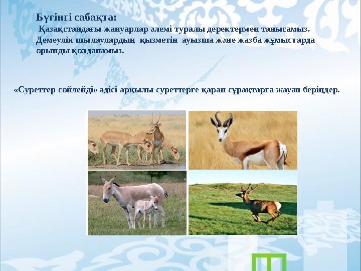 Бүгінгі сабақта: Қазақстандағы жануарлар әлемі туралы деректермен танысамыз. Демеулік шылаулардың қызметін ауызша және жазба