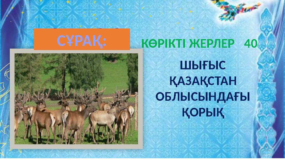 ШЫҒЫС ҚАЗАҚСТАН ОБЛЫСЫНДАҒЫ ҚОРЫҚ КӨРІКТІ ЖЕРЛЕР 40 СҰРАҚ: