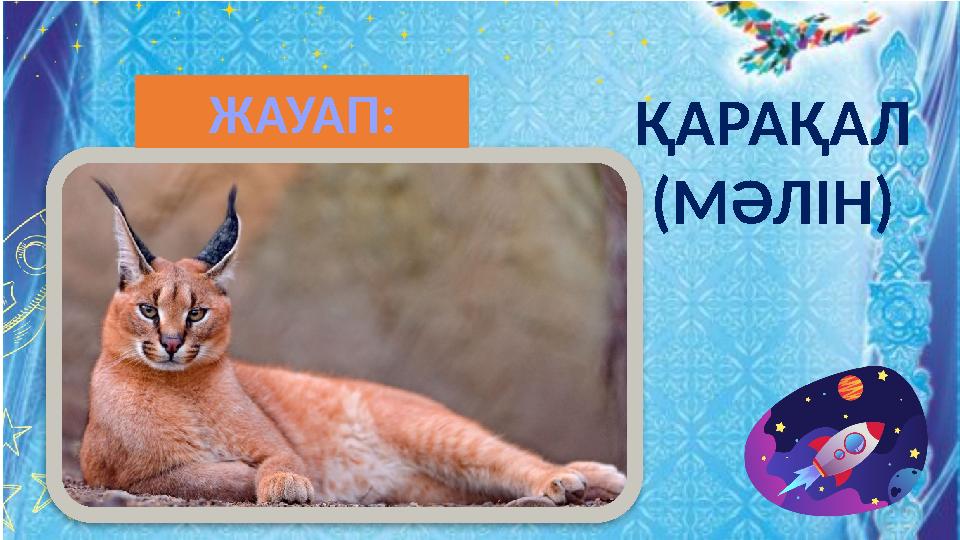 ҚАРАҚАЛ (МӘЛІН) ЖАУАП: