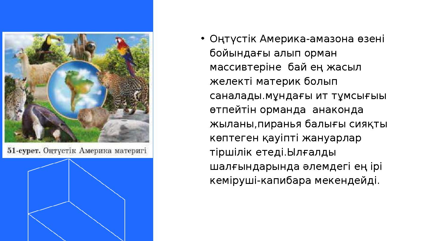 •Оңтүстік Америка-амазона өзені бойындағы алып орман массивтеріне бай ең жасыл желекті материк болып саналады.мұндағы ит тұ •Оңтүстік Америка-амазона өзені бойындағы алып орман массивтеріне бай ең жасыл желекті материк болып саналады.мұндағы ит тұ