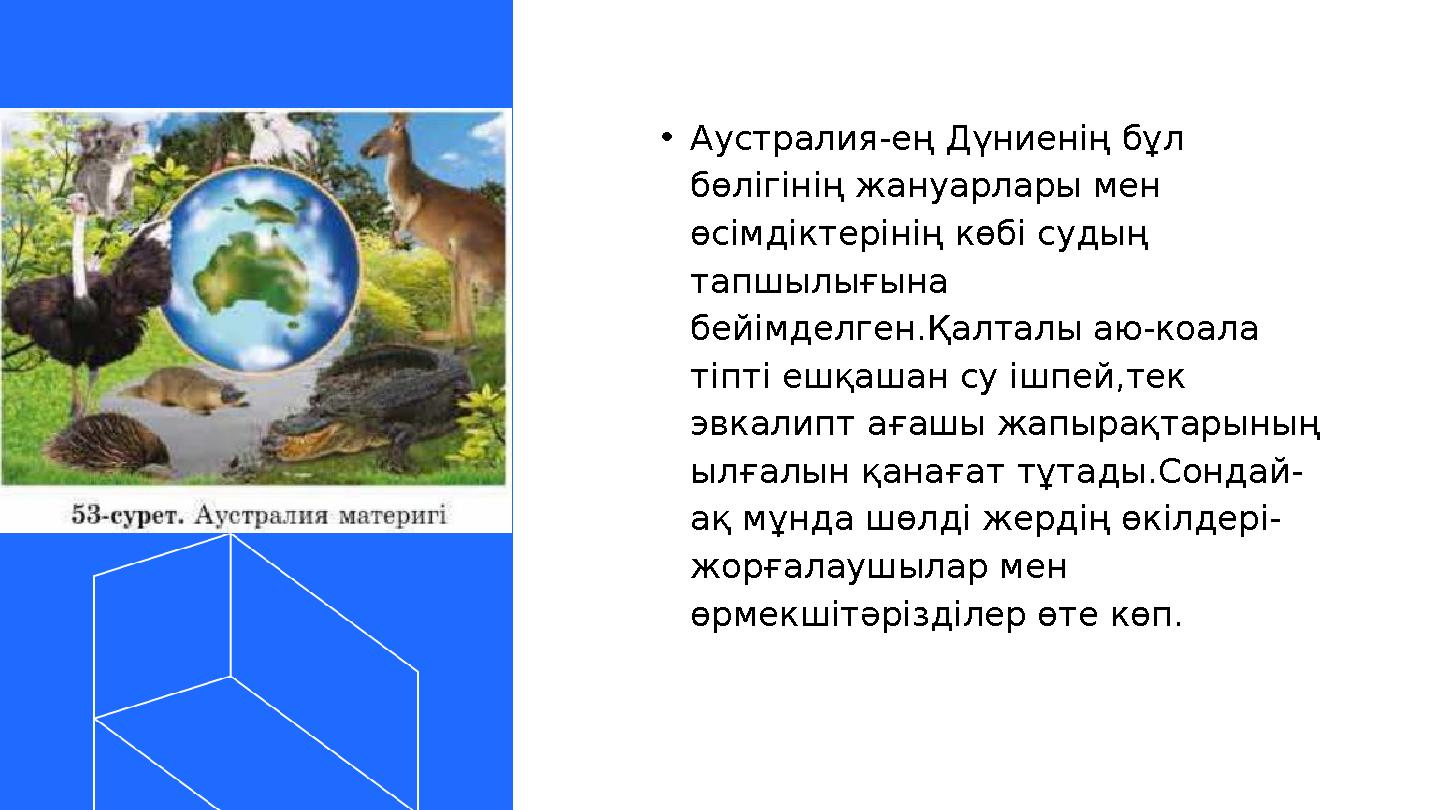 •Аустралия-ең Дүниенің бұл бөлігінің жануарлары мен өсімдіктерінің көбі судың тапшылығына бейімделген.Қалталы аю-коала тіпт •Аустралия-ең Дүниенің бұл бөлігінің жануарлары мен өсімдіктерінің көбі судың тапшылығына бейімделген.Қалталы аю-коала тіпт