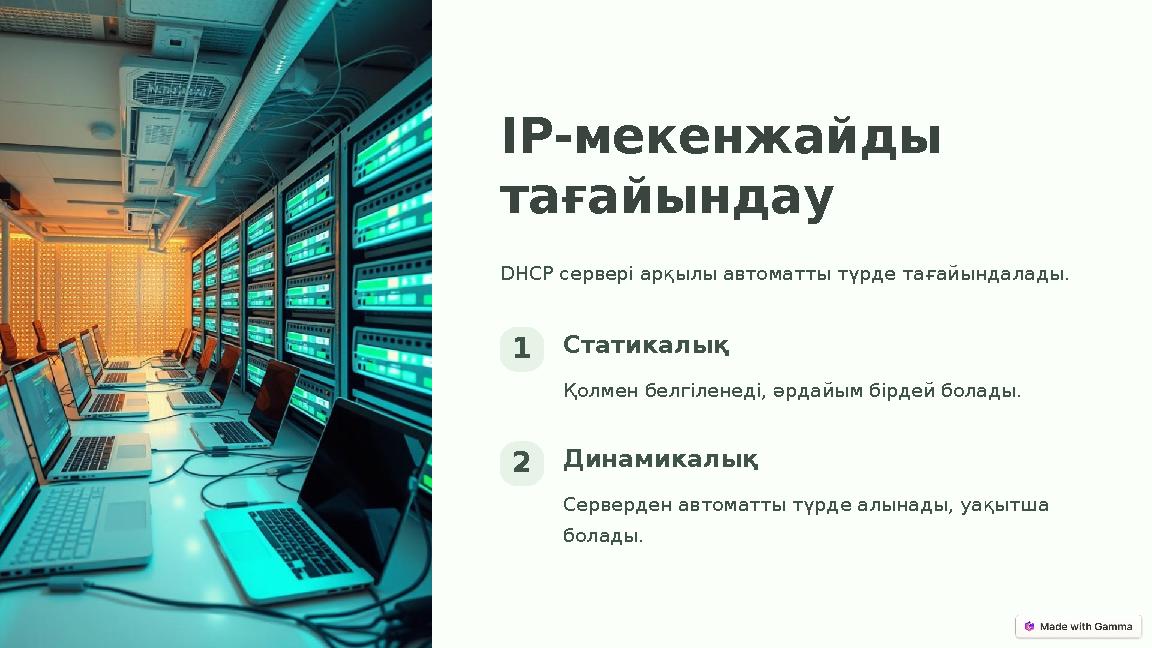 IP-мекенжайды тағайындау DHCP сервері арқылы автоматты түрде тағайындалады. 1Статикалық Қолмен белгіленеді, әрдайым бірдей бола
