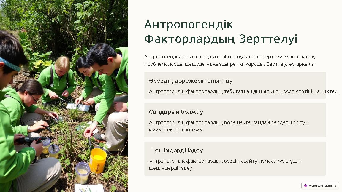 Антропогендік Факторлардың Зерттелуі Антропогендік факторлардың табиғатқа әсерін зерттеу экологиялық проблемаларды шешуде маңы