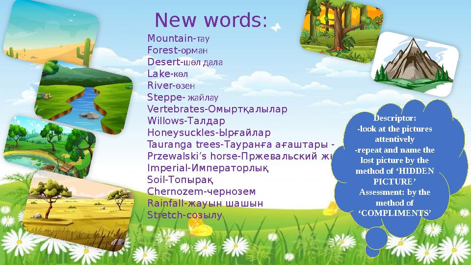 New words: Mountain-тау Forest-орман Desert-шөл дала Lake-көл River-өзен Steppe- жайлау Vertebrates-Омыртқалылар Willows-Талдар New words: Mountain-тау Forest-орман Desert-шөл дала Lake-көл River-өзен Steppe- жайлау Vertebrates-Омыртқалылар Willows-Талдар