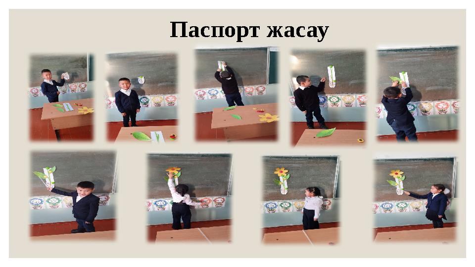 Паспорт жасау