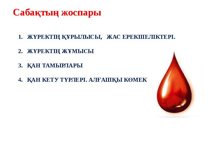 Сабақтың жоспары 1.ЖҮРЕКТІҢ ҚҰРЫЛЫСЫ, ЖАС ЕРЕКШЕЛІКТЕРІ. 2.ЖҮРЕКТІҢ ЖҰМЫСЫ 3.ҚАН ТАМЫРЛАРЫ 4.ҚАН КЕТУ ТҮРЛЕРІ. АЛҒАШҚЫ КӨМЕК