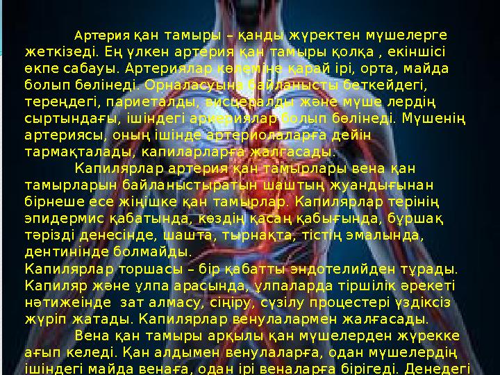 Черновцы облысы, Бояный қаласының порнографиялық қыздарының суреттері