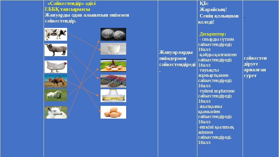 «Сәйкестендір» әдісі ЕББҚ тапсырмасы Жануарды одан алынатын өніммен сәйкесте