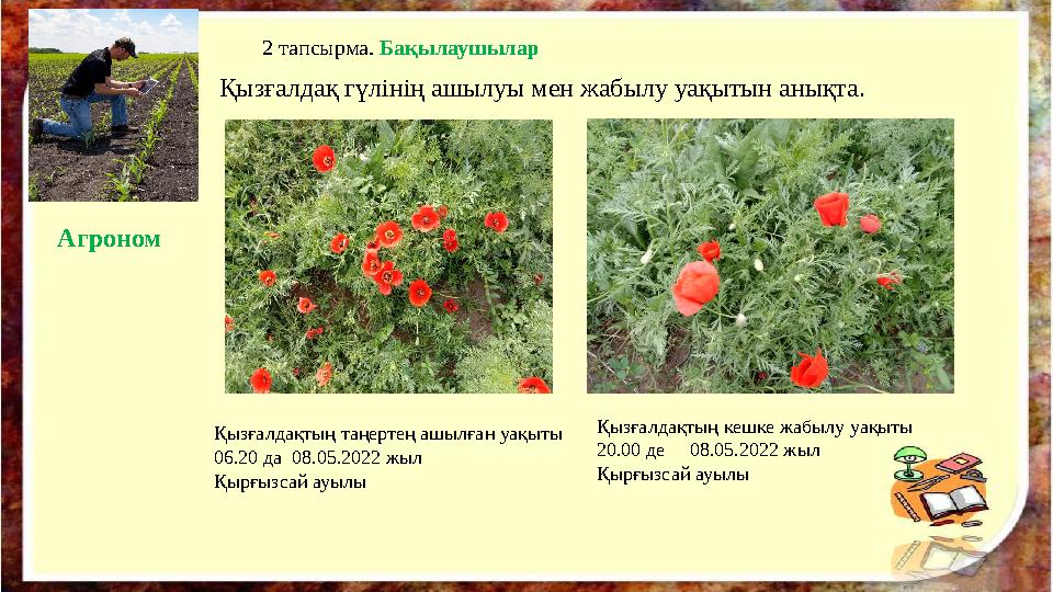 2 тапсырма. Бақылаушылар Қызғалдақтың кешке жабылу уақыты 20.00 де 08.05.2022 жыл