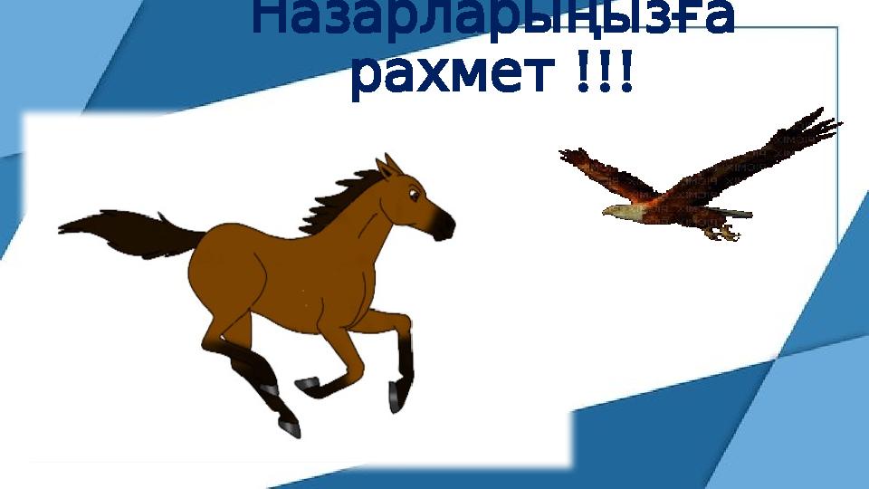 Назарларыңызға !!! рахмет