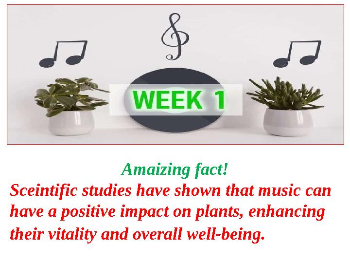 Amaizing fact! Sceintific studies have shown that music can have a positive impact on plants, enhancing their vitality and ove
