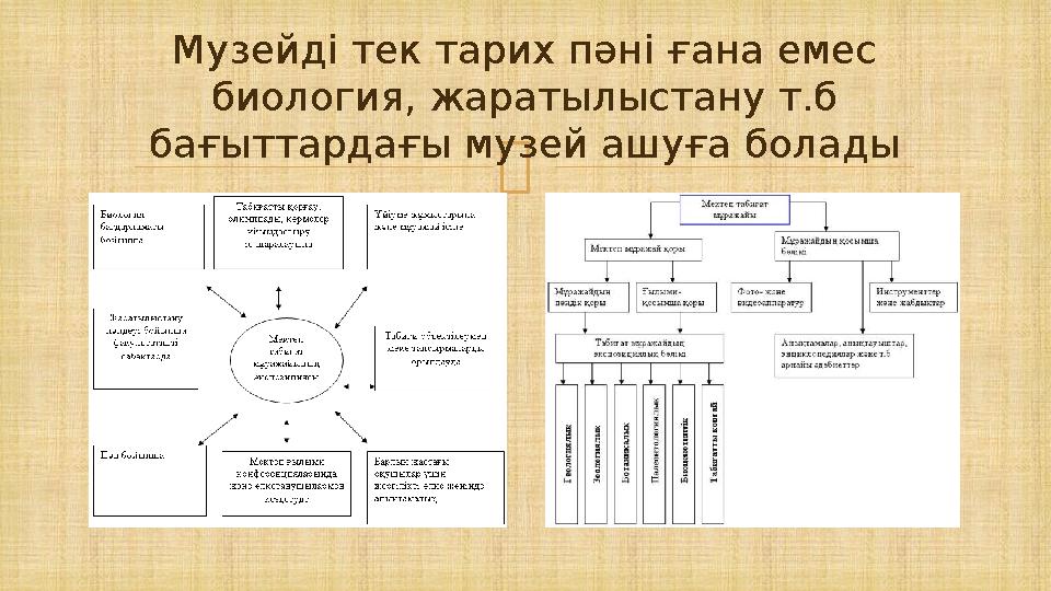  Музейді тек тарих пәні ғана емес биология, жаратылыстану т.б бағыттардағы музей ашуға болады