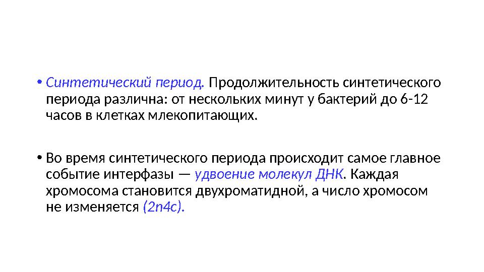 •Синтетический период. Продолжительность синтетического периода различна: от нескольких минут у бактерий до 6-12 часов в клетк