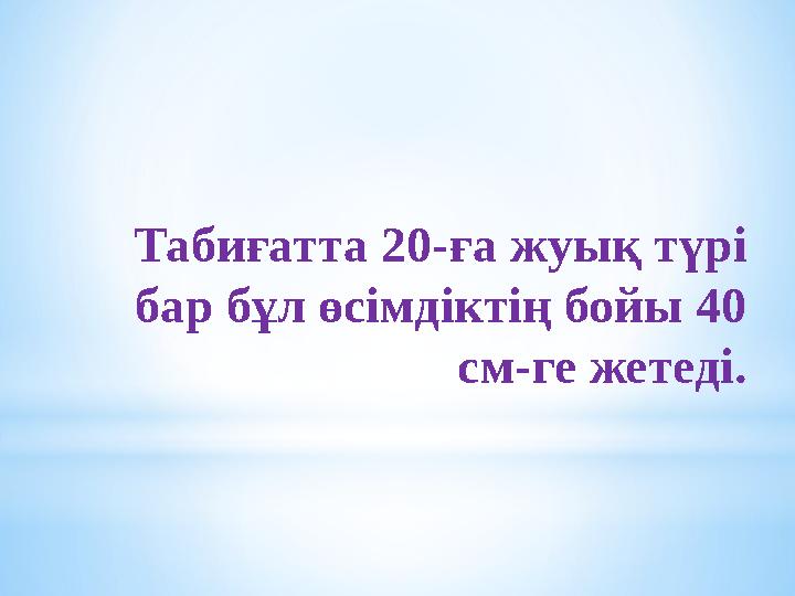 Табиғатта 20-ға жуық түрі бар бұл өсімдіктің бойы 40 см-ге жетеді. Табиғатта 20-ға жуық түрі бар бұл өсімдіктің бойы 40 см-ге жетеді.