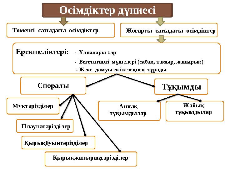 Төменгі сатыдағы өсімдіктер Жоғарғы сатыдағы өсімдіктер Өсімдіктер дүниесі Ерекшеліктері: - Ұлпалары бар