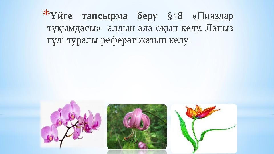 *Үйге тапсырма беру §48 «Пияздар тұқымдасы» алдын ала оқып келу. Лапыз гүлі туралы реферат жазып келу.