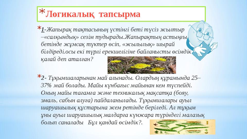 *Логикалық тапсырма *1-Жапырақ тақтасының үстінгі беті түсіз жылтыр –«салқындық» сезім тудырады.Жапырақтың астыңғы бетінде жұм