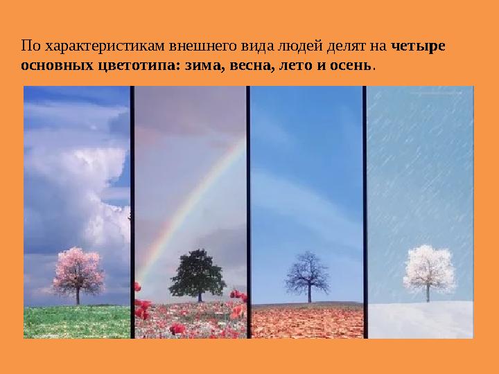 По характеристикам внешнего вида людей делят на четыре основных цветотипа: зима, весна, лето и осень.