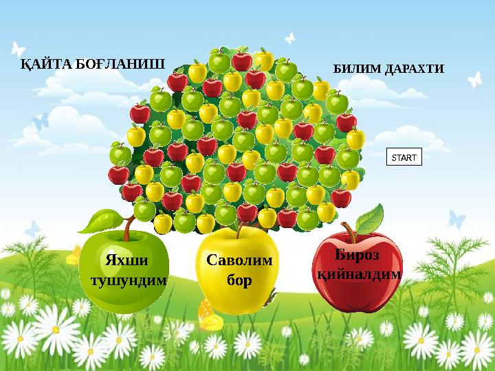 Яхши тушундим Саволим бор Бироз қийналдим ҚАЙТА БОҒЛАНИШ БИЛИМ ДАРАХТИ START