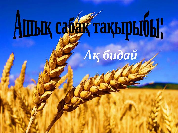 Ақ бидай