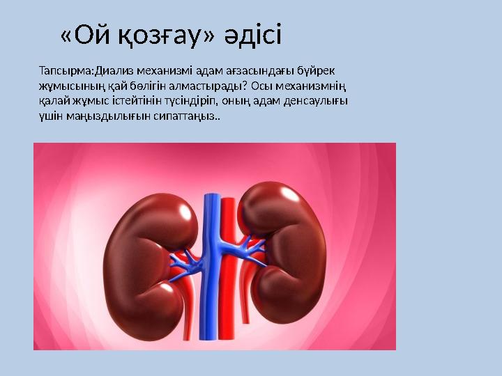 «Ой қозғау» әдісі Тапсырма:Диализ механизмі адам ағзасындағы бүйрек жұмысының қай бөлігін алмастырады? Осы механизмнің қалай ж