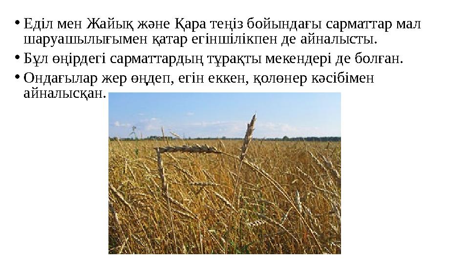 •Еділ мен Жайық және Қара теңіз бойындағы сарматтар мал шаруашылығымен қатар егіншілікпен де айналысты. •Бұл өңірдегі сарматта