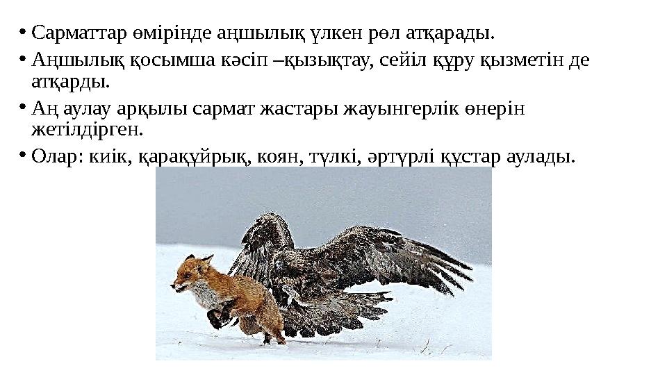 •Сарматтар өмірінде аңшылық үлкен рөл атқарады. •Аңшылық қосымша кәсіп –қызықтау, сейіл құру қызметін де атқарды. •Аң аулау а