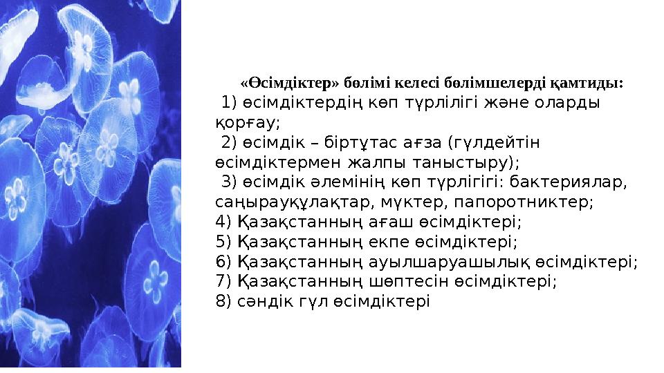 «Өсімдіктер» бөлімі келесі бөлімшелерді қамтиды: 1) өсімдіктердің көп түрлілігі және оларды қорғау; 2) өсімдік – біртұтас ағз