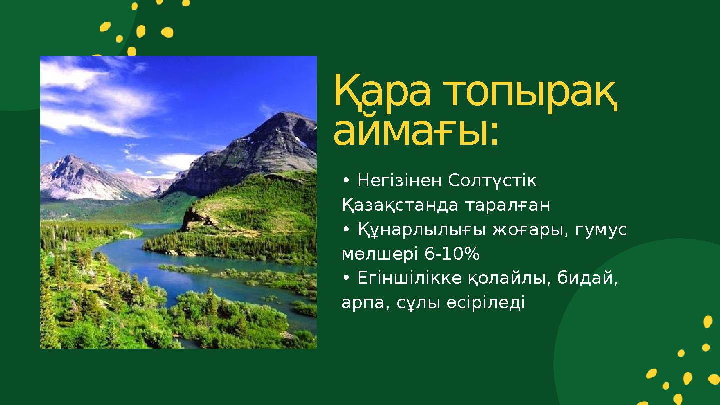 • Негізінен Солтүстік Қазақстанда таралған • Құнарлылығы жоғары, гумус мөлшері 6-10% • Егіншілікке қолайлы, бидай, арпа, сұлы
