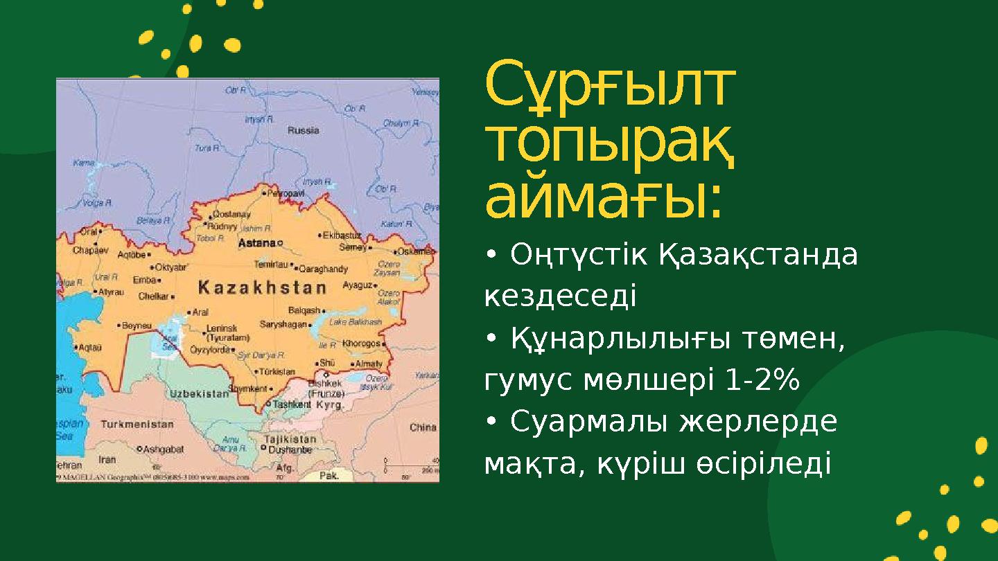 • Оңтүстік Қазақстанда кездеседі • Құнарлылығы төмен, гумус мөлшері 1-2% • Суармалы жерлерде мақта, күріш өсіріледі Сұрғылт