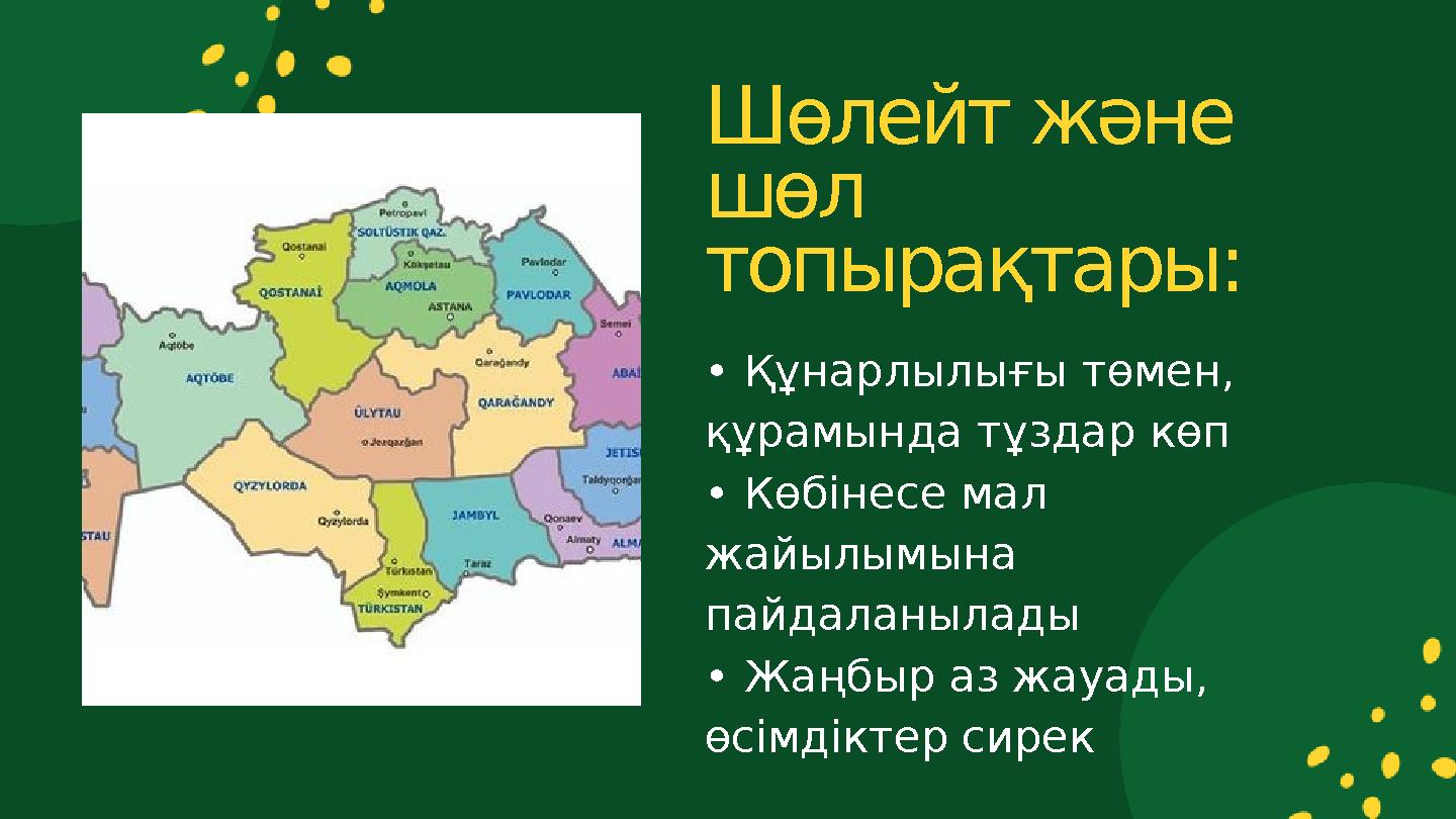 • Құнарлылығы төмен, құрамында тұздар көп • Көбінесе мал жайылымына пайдаланылады • Жаңбыр аз жауады, өсімдіктер сирек Шөлей