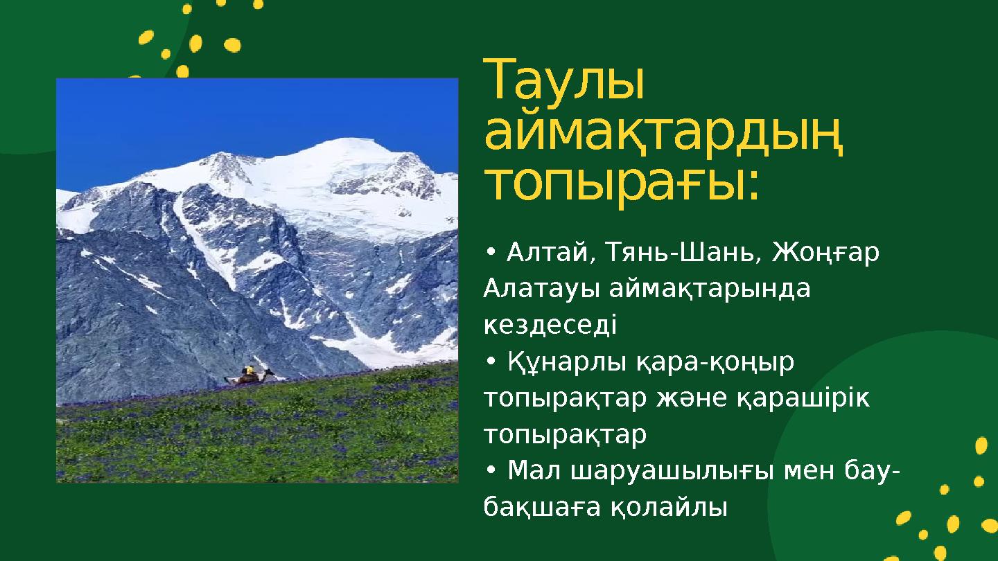 • Алтай, Тянь-Шань, Жоңғар Алатауы аймақтарында кездеседі • Құнарлы қара-қоңыр топырақтар және қарашірік топырақтар • Мал ша