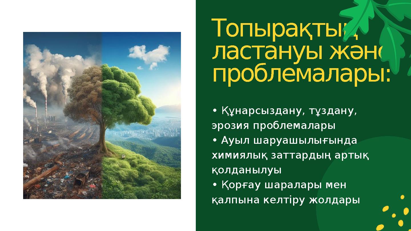 • Құнарсыздану, тұздану, эрозия проблемалары • Ауыл шаруашылығында химиялық заттардың артық қолданылуы • Қорғау шаралары мен