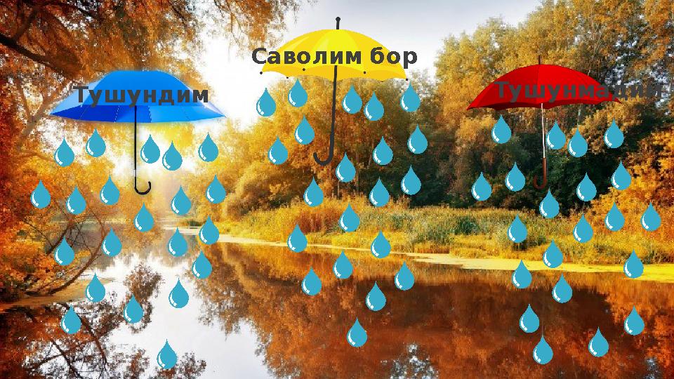 Тушундим Саволим бор Тушунмадим