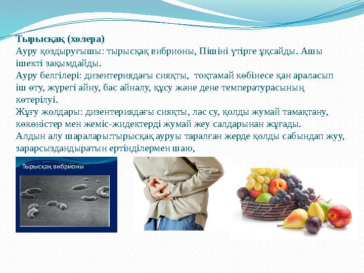 Тырысқақ (холера) Ауру қоздыруғышы: тырысқақ вибрионы, Пішіні үтірге ұқсайды. Ашы ішекті зақымдайды. Ауру белгілері: дизентерия