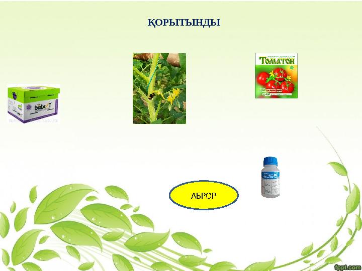 АБРОР ҚОРЫТЫНДЫ