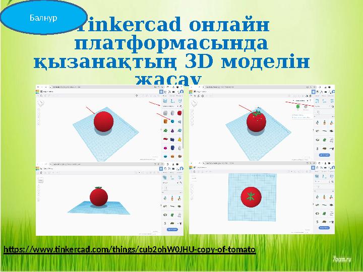 Tinkercad онлайн платформас ында қызанақтың 3 D моделін жасау Балнур https://www.tinkercad.com/things/cub2ohW0JHU-copy-of-to