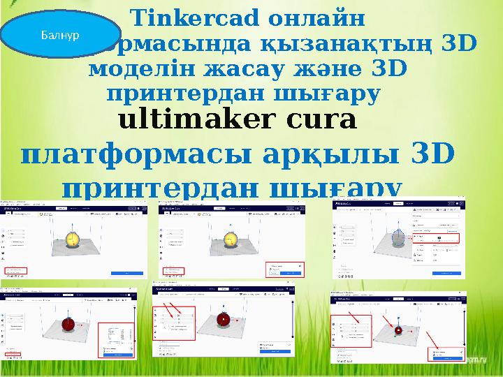 Tinkercad онлайн платформас ында қызанақтың 3 D моделін жасау және 3 D принтердан шығару Балнур ultimaker cura платформасы
