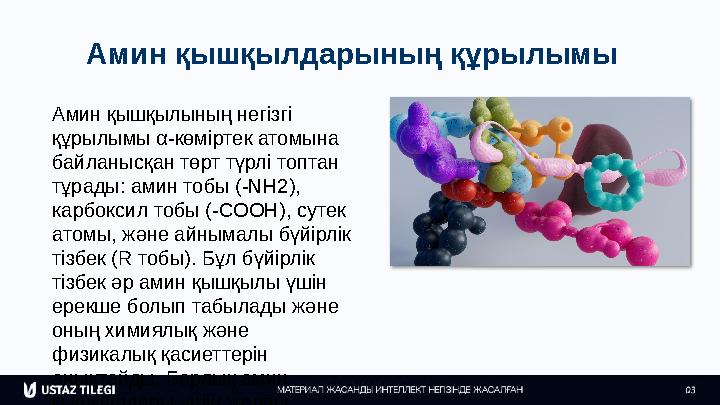 Амин қышқылдарының құрылымы Амин қышқылының негізгі құрылымы α-көміртек атомына байланысқан төрт түрлі топтан тұрады: амин то