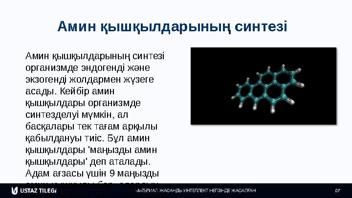 Амин қышқылдарының синтезі Амин қышқылдарының синтезі организмде эндогенді және экзогенді жолдармен жүзеге асады. Кейбір амин