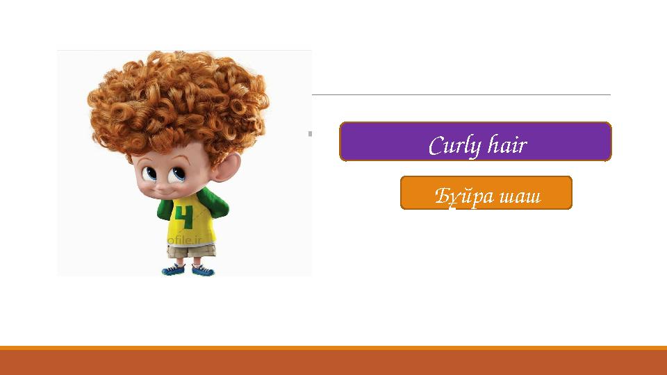 Curly hair Бұйра шаш