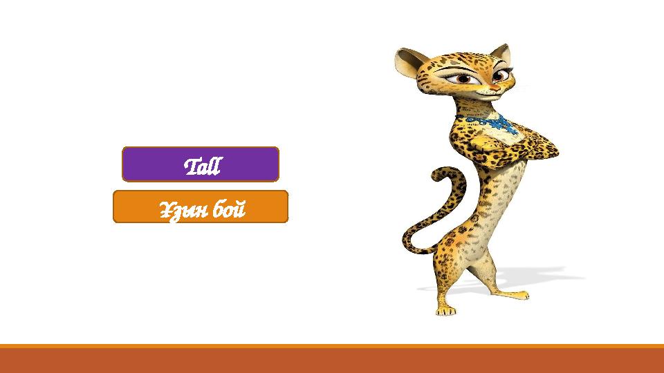 Ұзын бой Tall