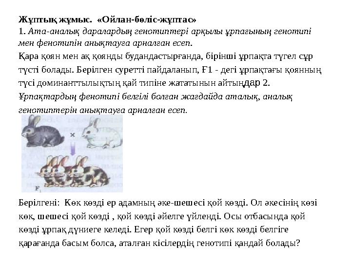 Жұптық жұмыс. «Ойлан-бөліс-жұптас» 1. Ата-аналық даралардың генотиптері арқылы ұрпағының генотипі мен фенотипін анықтауға арн