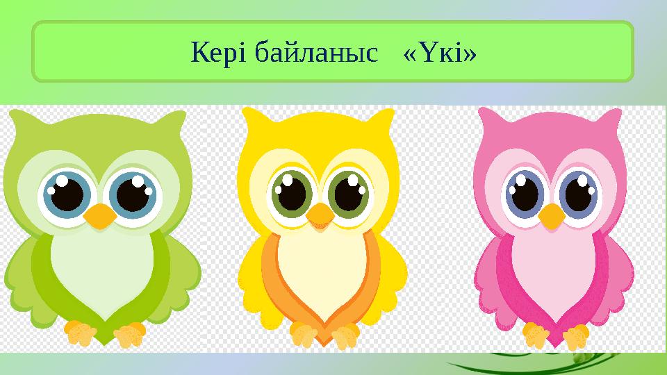 Кері байланыс «Үкі»