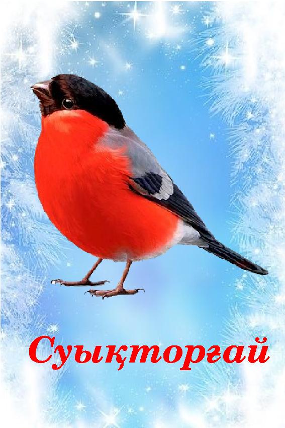 Суықторғай