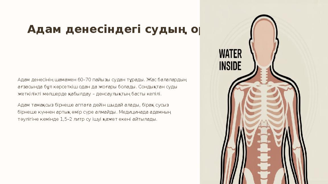 Адам денесіндегі судың орны Адам денесінің шамамен 60–70 пайызы судан тұрады. Жас балалардың ағзасында бұл көрсеткіш одан да жо